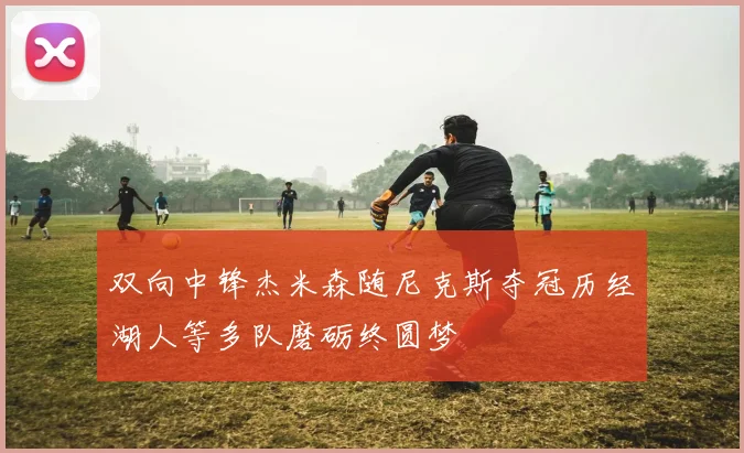 双向中锋杰米森随尼克斯夺冠历经湖人等多队磨砺终圆梦
