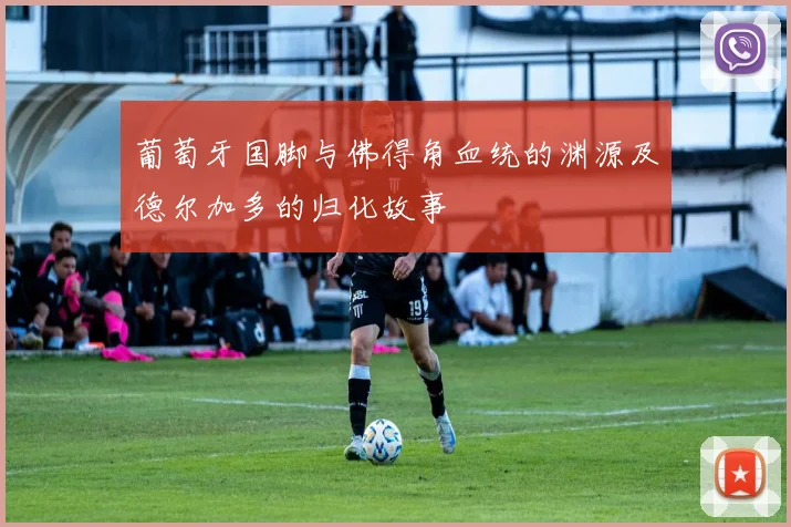 葡萄牙国脚与佛得角血统的渊源及德尔加多的归化故事
