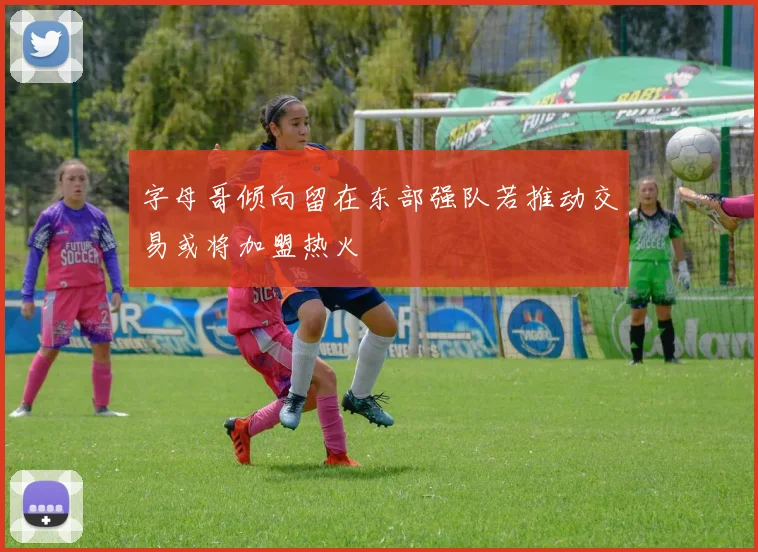 字母哥倾向留在东部强队若推动交易或将加盟热火