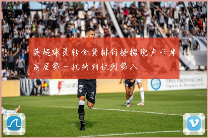 英超球员转会费排行榜揭晓卢卡库高居第一托纳利位列第八